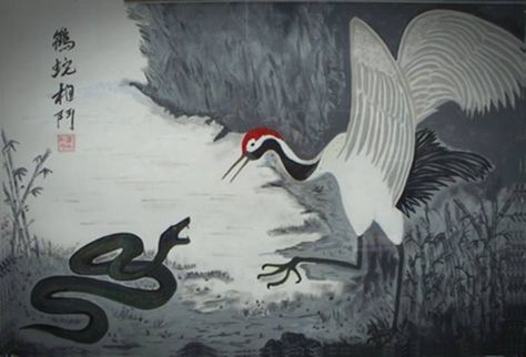 combat de l'oiseau et du serpent
